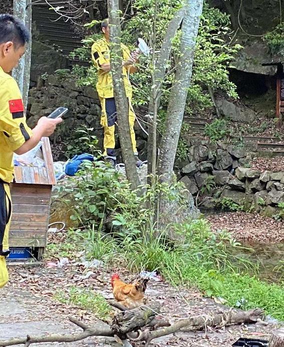 【专家判断第3只豹子或已死亡】第3只豹子野外生存超21天要么隐蔽起来了,要么可能已死亡
