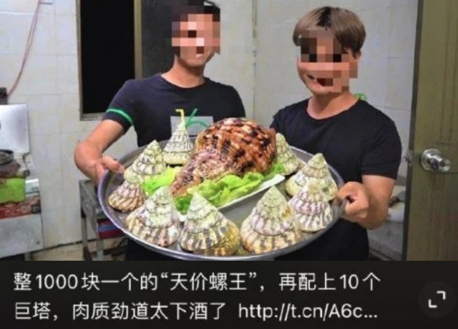 螺王就酒,刑拘你有!美食博主食用二级保护动物被刑拘