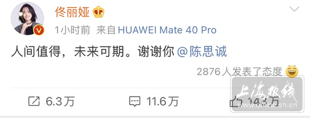 锣鼓喧天!佟丽娅陈思诚官宣离婚 评论太精彩了