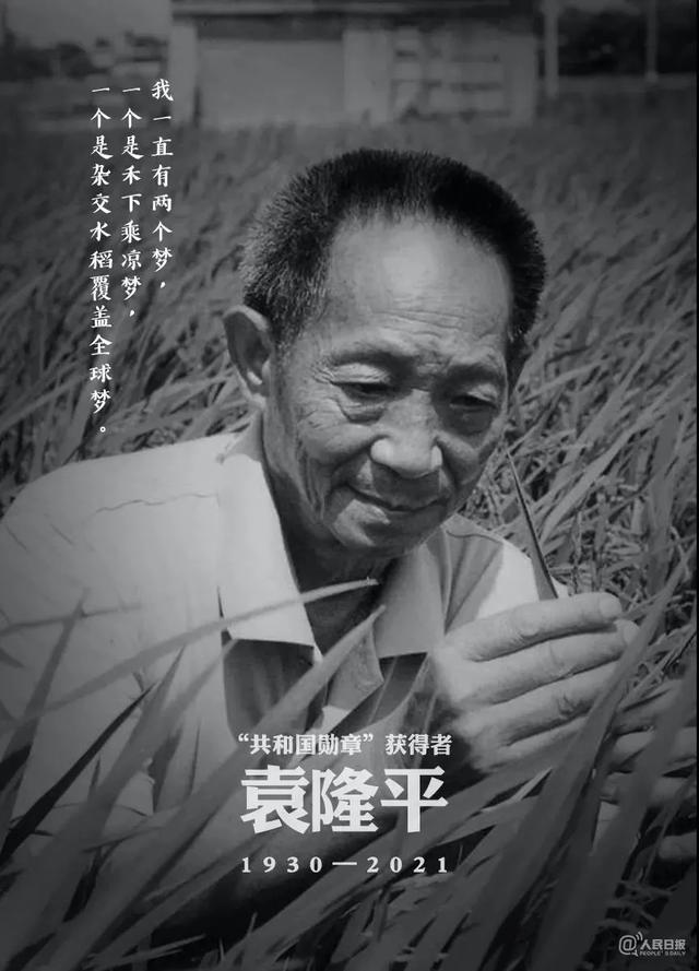 禾下乘凉梦 送别袁隆平！袁隆平逝世 享年91岁