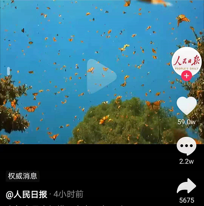 【奇观】云南现1.5亿只蝴蝶大爆发,杨丽萍与蝶共舞