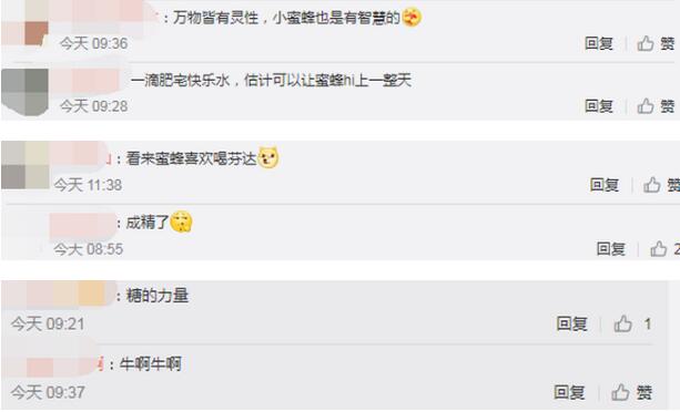 成精了！巴西网友拍到两只蜜蜂合力打开饮料瓶盖