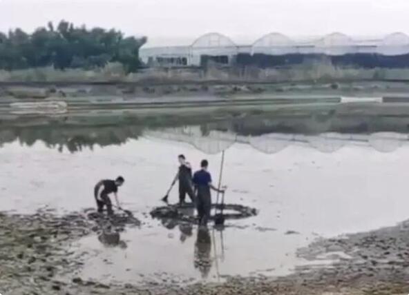 浙江嘉兴上空掉下不明物体 具体发生了什么？