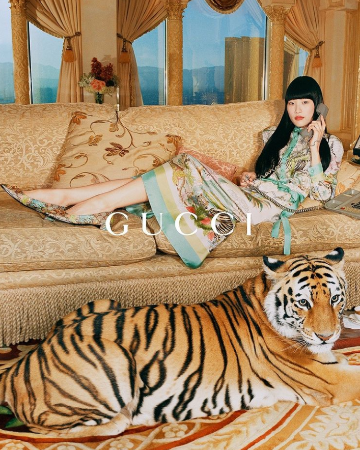 Gucci拍摄虎年广告用了真老虎，动物保护组织怒了
