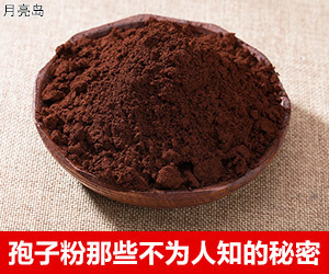 权志龙社交账号疑似被盗 IP地址显示英国