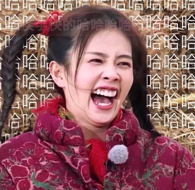 白鹿最出圈的表情包