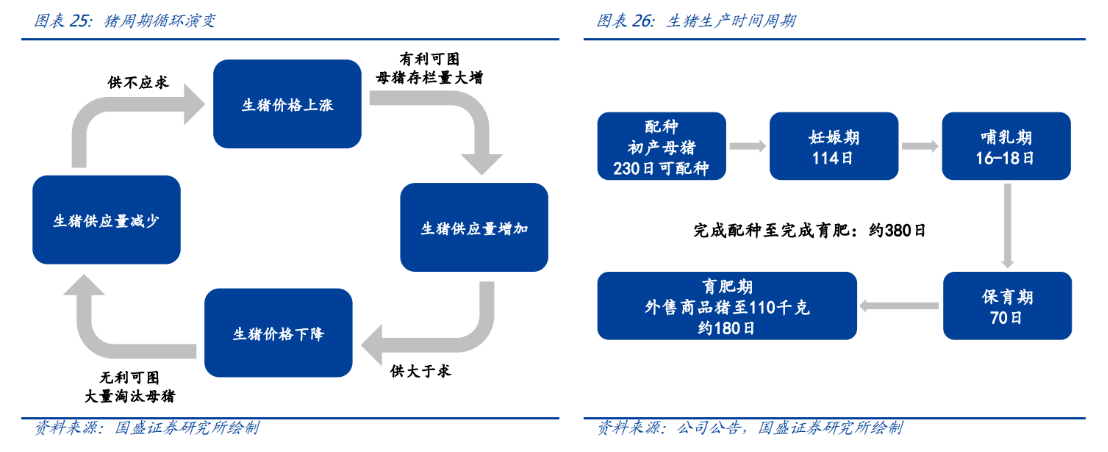 供应端政策调控之际猪肉股还会否带来惊喜？一文看懂猪周期及背后的猪市沉浮