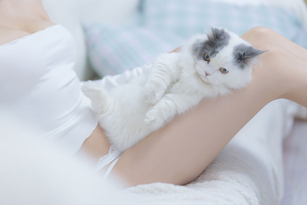 斗鱼米线线sama一只性福的猫猫