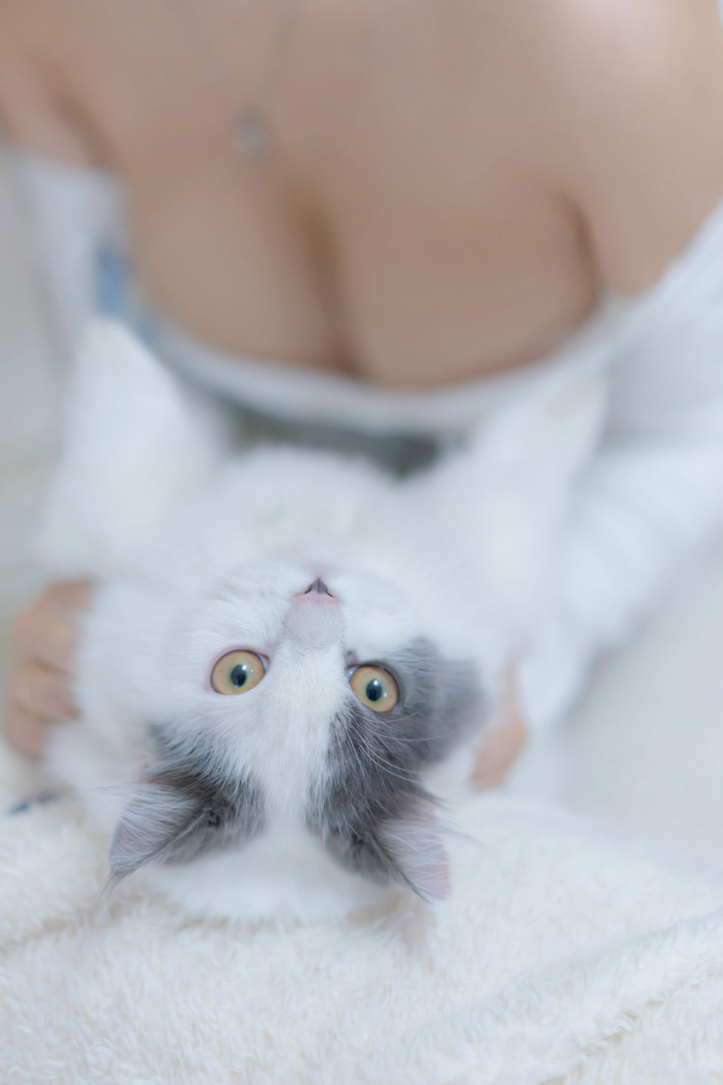 斗鱼米线线sama一只性福的猫猫