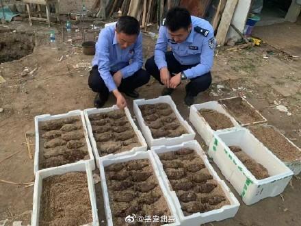 村民里挖出102枚手榴弹 战争期间此处曾居住过二百多名侵华日军
