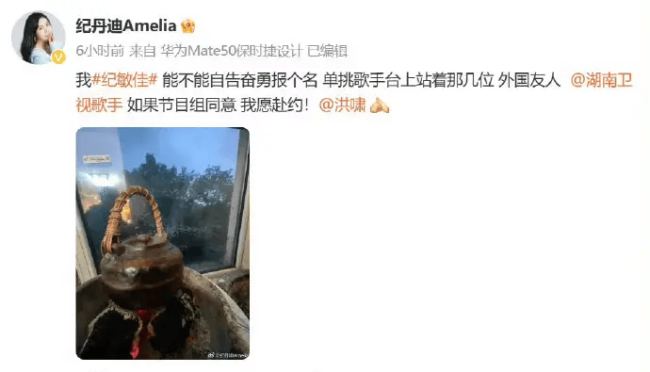 ALin黄丽玲娄艺潇等自荐参加《歌手2024》 