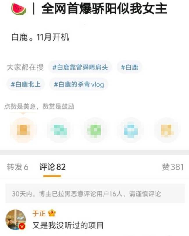 于正辟谣白鹿出演《骄阳似我》：没听过的项目 