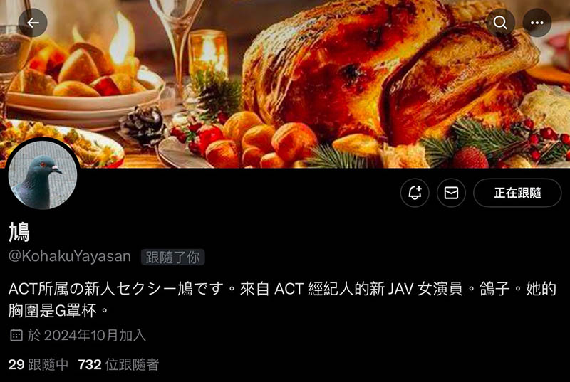 经纪公司ACT的顶级新秀！这只鸽子有大事宣布！