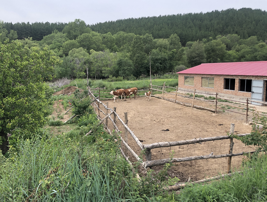 赤峰老年公寓杀人案再调查:村民眼中的81岁杀人嫌犯