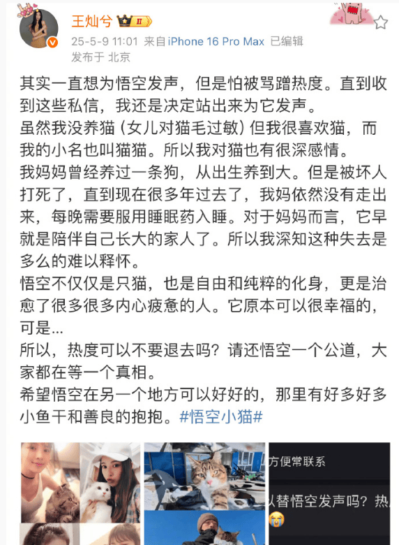 杜淳妻子为网红小猫发声：请还悟空一个公道