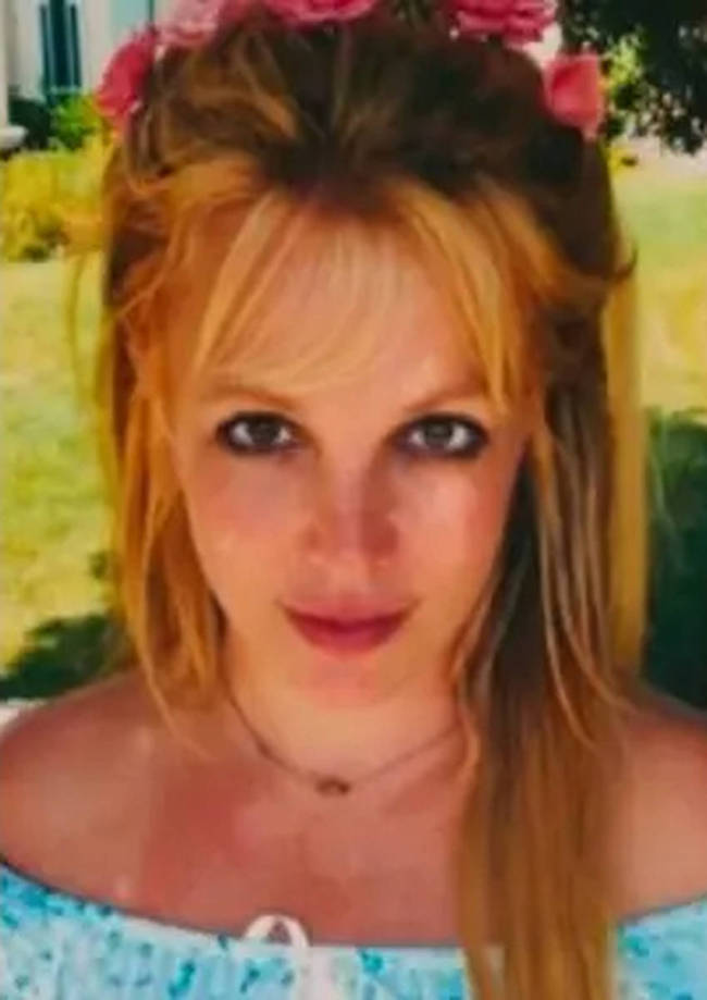 布兰妮被曝精神状态堪忧 家里都是狗大便