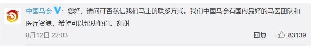 马主人回应下海救人两匹马去世,回应说了什么?具体什么情况?