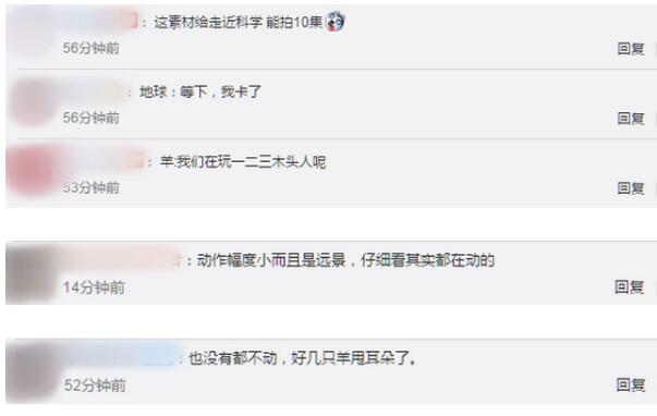 【趣闻】神奇！羊群站在山坡一动不动如画面静止 细心地网友发现了几处细节