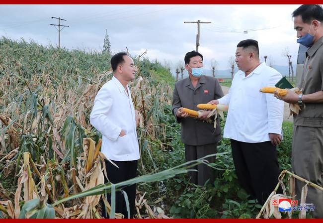 朝鲜最高领导人金正恩考察台风受灾地区灾情