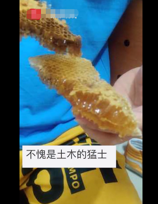 “甜的掉牙!”宿舍衣柜惊现蜂窝学生分食蜂蜜,网友:最惨宿舍入侵物