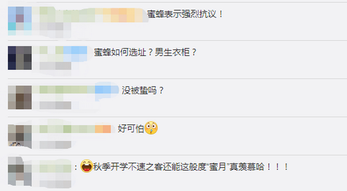 “甜的掉牙!”宿舍衣柜惊现蜂窝学生分食蜂蜜,网友:最惨宿舍入侵物