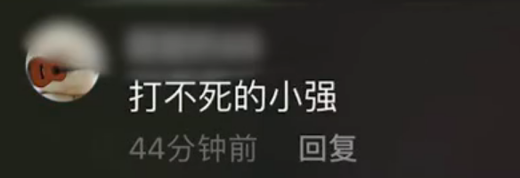 蟑螂被盖在锅盖下20天什么情况?终于真相了,原来是这样!