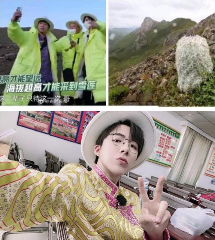 【吃瓜围观】极限挑战嘉宾摘国家二级保护植物上热搜 雪莲花是道具？