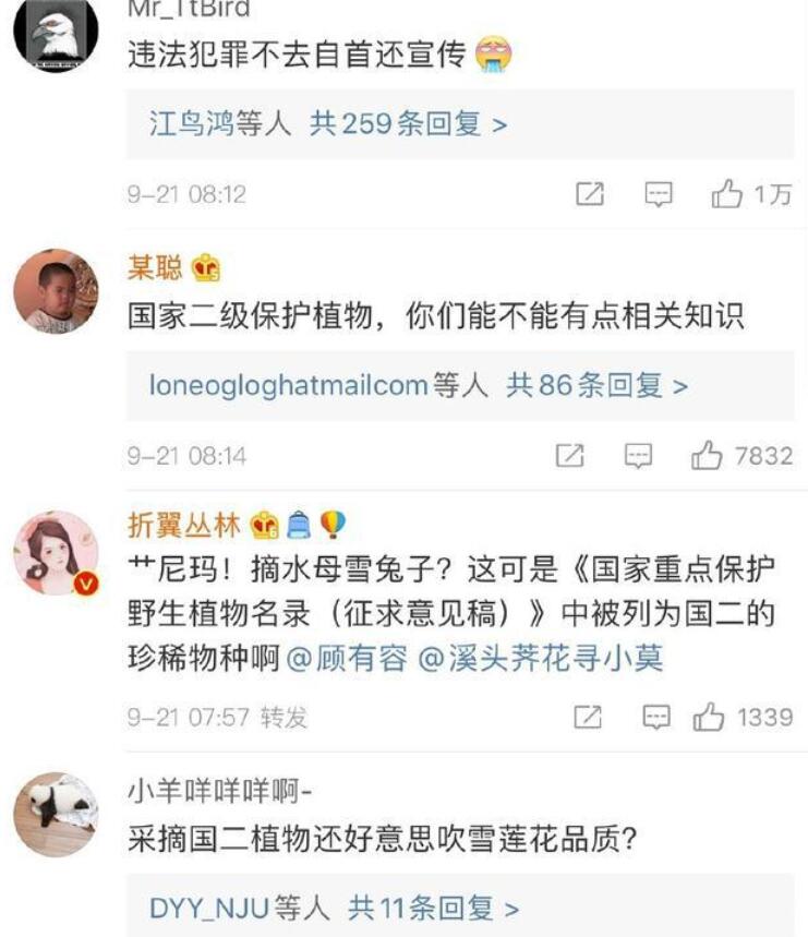 【吃瓜围观】极限挑战嘉宾摘国家二级保护植物上热搜 雪莲花是道具？