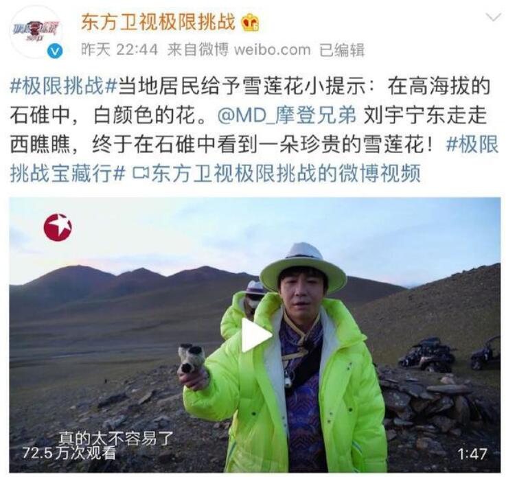 【吃瓜围观】极限挑战嘉宾摘国家二级保护植物上热搜 雪莲花是道具？