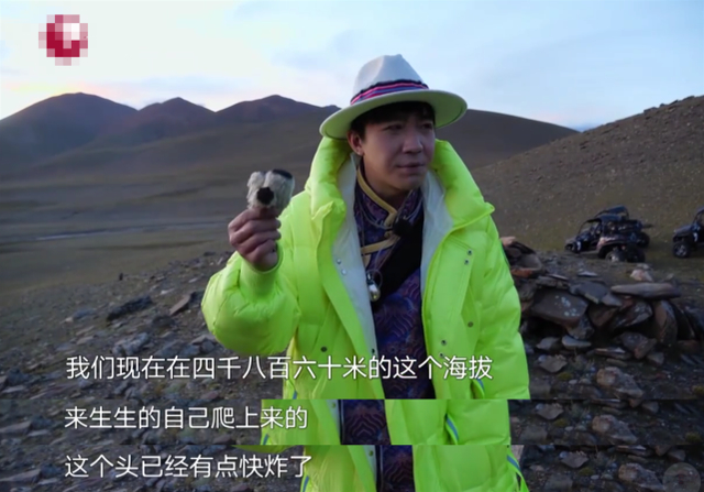 【最新】极限挑战嘉宾摘国家二级保护植物 节目组的锅还是明星的锅？