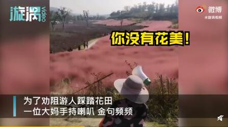 太可爱了！景区大妈硬核提醒游客别踩花田，你说尴尬不？