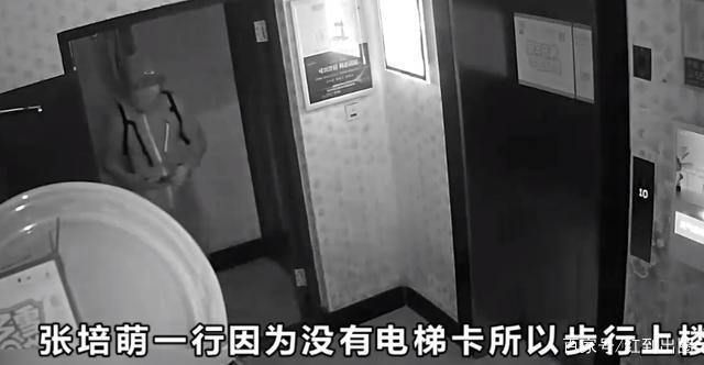 家暴只有0次和无数次!张培萌妻子谈产后第17天被家暴 