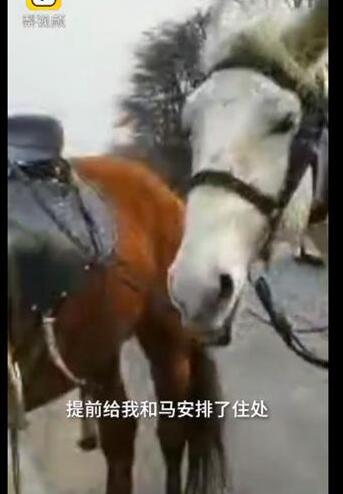 走南闯北！男子骑马从新疆伊犁回福建老家 8000公里策马奔腾