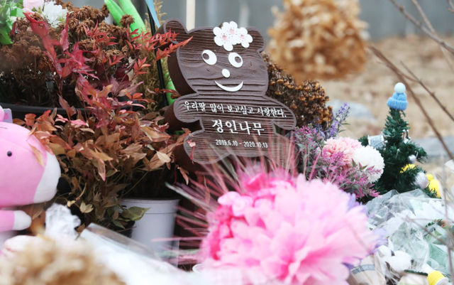 女童遭虐死后，韩国拟修改多项法律，废止监护人惩戒权