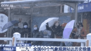 【围观】今年三九没有二九冷，熬过异常寒冷的“二九”就赢了