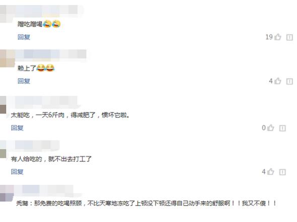 被放生秃鹫又飞回警局求投喂，每天6斤肉伙食费150元！民警直呼养不起