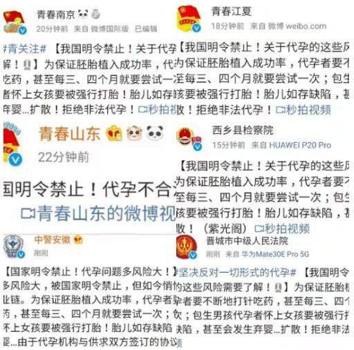 郑爽诉张恒案二审 张恒提供新证据！起底郑爽商业版图:关联公司10家