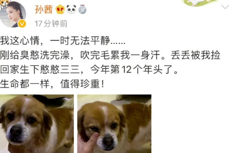 郑爽负面风波升级!业内曝合作物料将全部下架,手表代言已清空