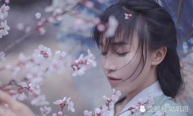 李子柒刷新吉尼斯世界纪录什么梗？到底发生了什么？