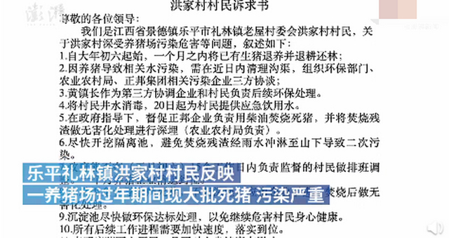 景德镇一养猪场大批死猪致污染，到底发生了什么？