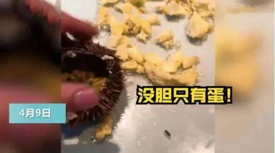 海南省长回应三亚海胆事件 近年来游客被宰现象频频被曝光