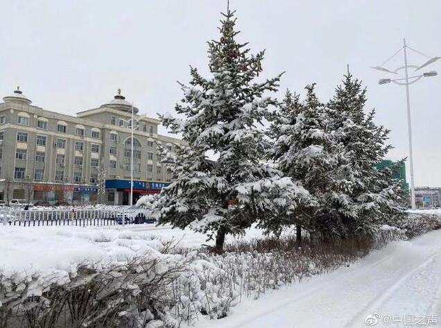 呼伦贝尔4月大雪纷飞！现场图让网友迷茫了：再过两个月都入夏了
