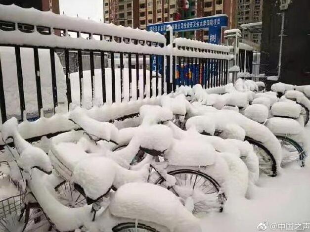 呼伦贝尔4月大雪纷飞！现场图让网友迷茫了：再过两个月都入夏了