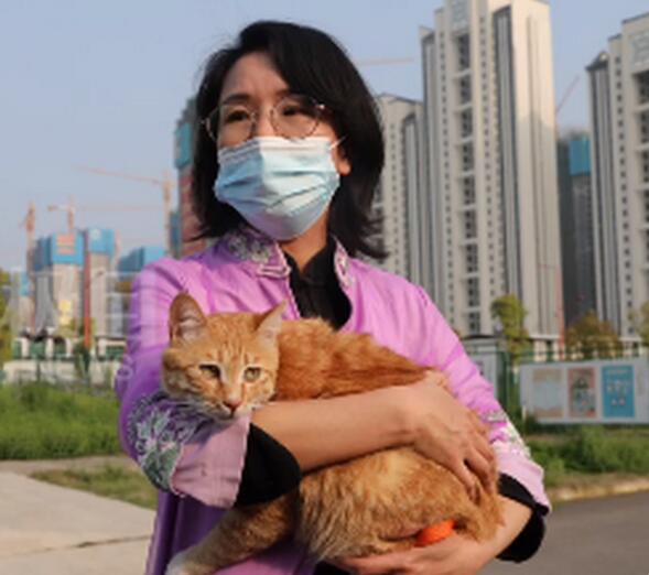 大橘为重!雷神山流浪小奶猫一年后成胖橘，霸气雷神喵引围观
