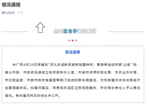 官方通报河北丰润数百亩耕地里种树，具体说了什么？
