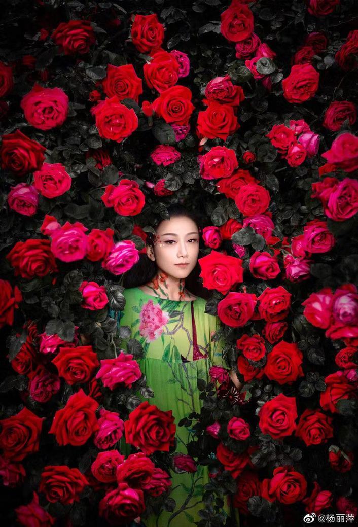 港风美女!杨丽萍20年前超惊艳 头身比完美 四肢纤细修长