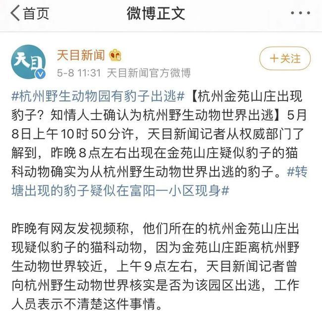 【抓捕中】杭州野生动物世界3只金钱豹外逃,目前已捕获追回一只