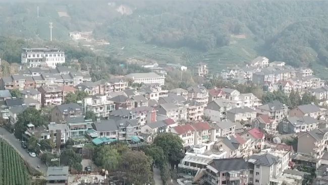 【抓捕中】杭州野生动物世界3只金钱豹外逃,目前已捕获追回一只