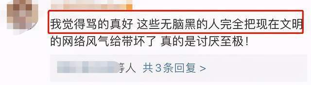 刘芸晒妈妈照片被辱骂 怒怼网友 到底发生了什么？