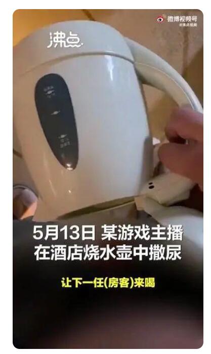网红主播在酒店水壶内撒尿?这是什么奇葩行为